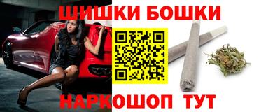 спиды Гай