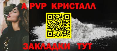 спиды Гай