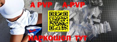 спиды Гай