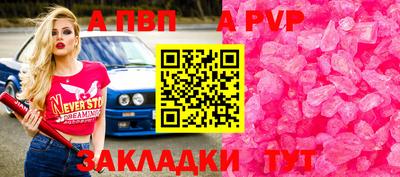 спиды Гай