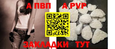 спиды Гай