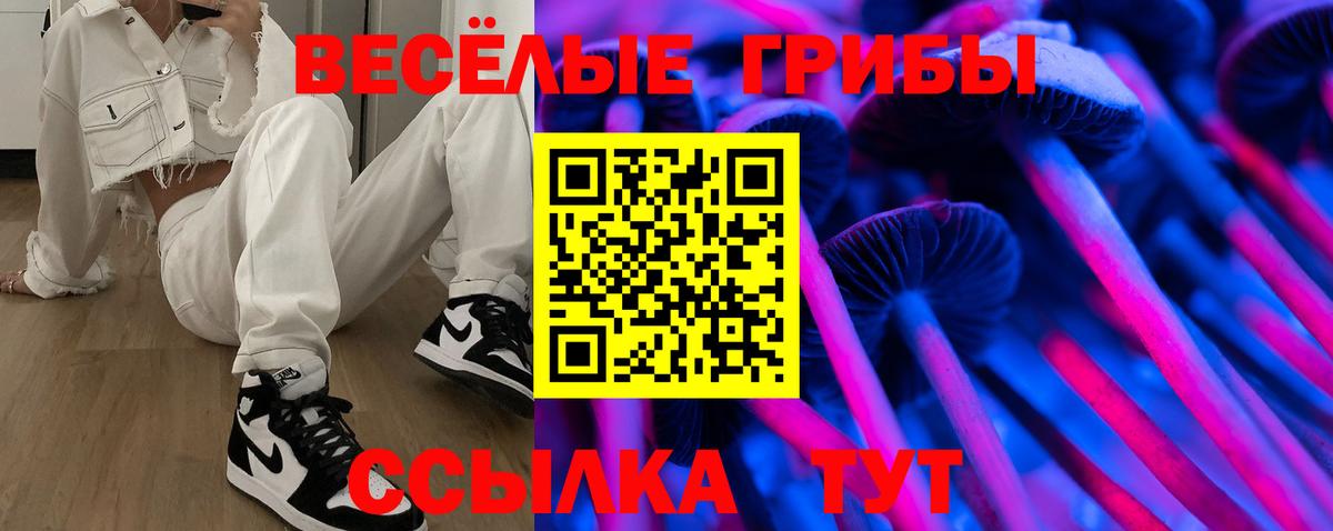 Назрань  Псилоцибиновые грибы прущие грибы  Вход с VPN 